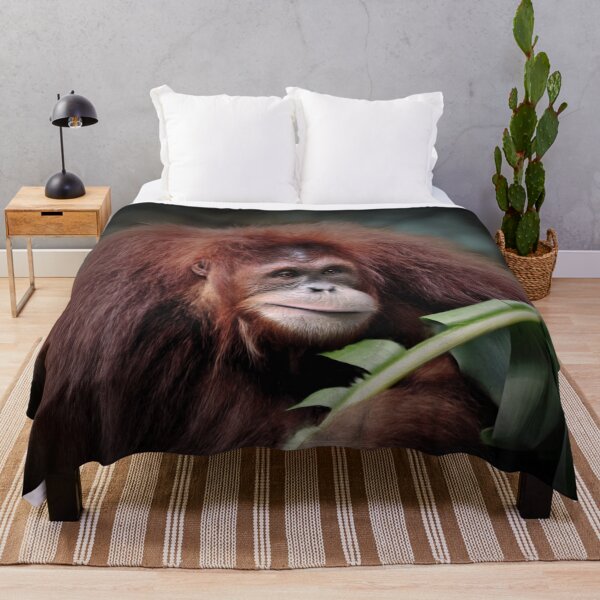 Item preview, Orangutan Indah designed and sold by Savannah Gibbs.