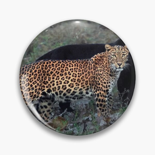 Item preview, Jags designed and sold by Cucoos.