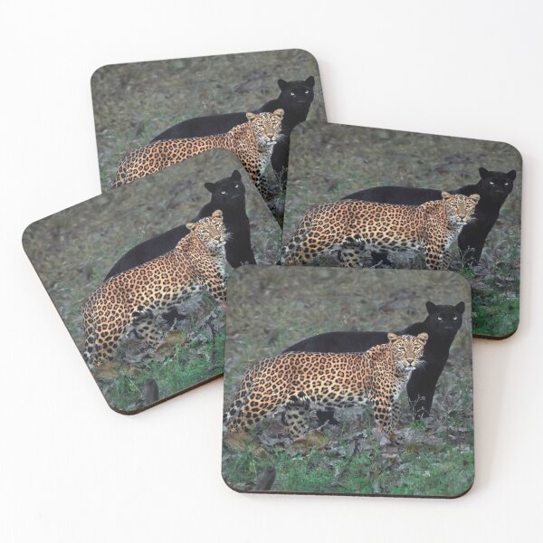 Item preview, Jags designed and sold by Cucoos.