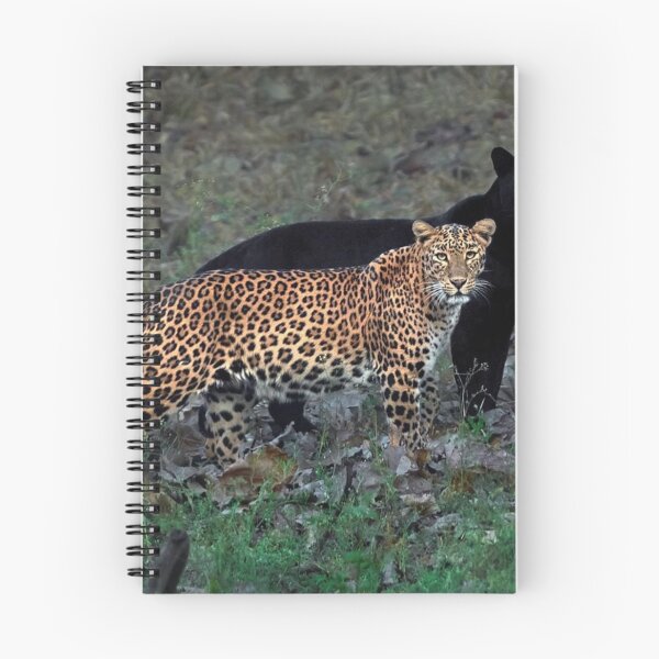 Item preview, Jags designed and sold by Cucoos.