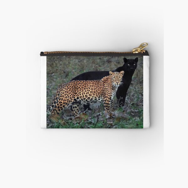 Item preview, Jags designed and sold by Cucoos.