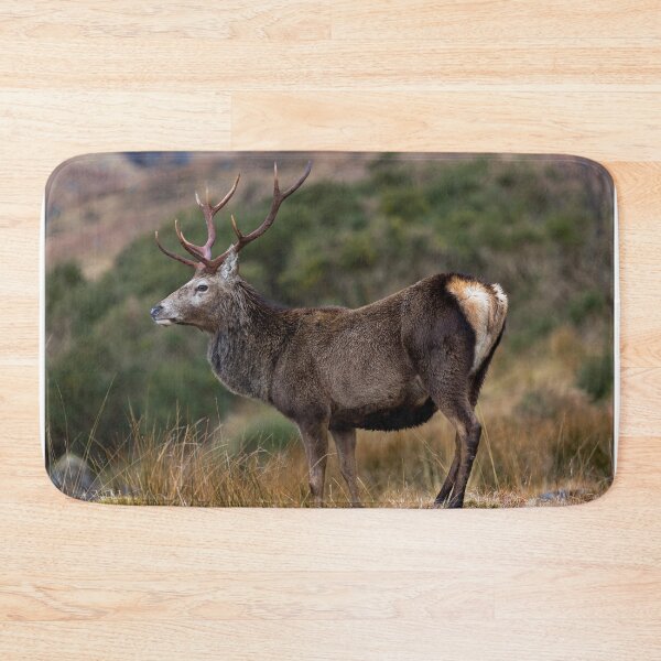 Item preview, Red Deer Stag in Highland Scotland designed and sold by derekbeattie.