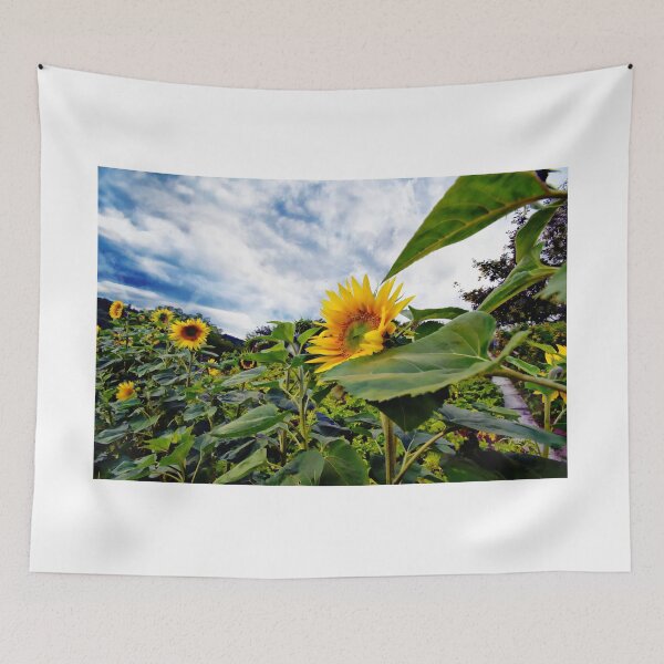 Item preview, Sunflowers designed and sold by PhotoCDesign.
