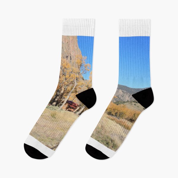 Item preview, Rails and aspen trees designed and sold by zumi.
