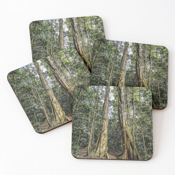 Item preview, The Walking Track at Green Mountain I designed and sold by KarenWillshaw.