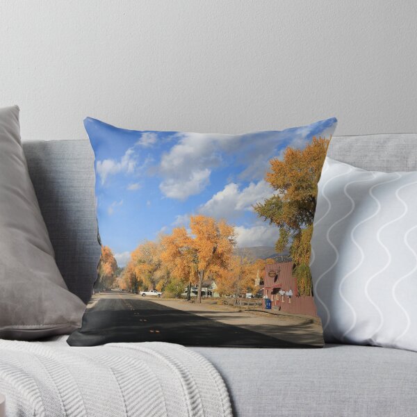 Item preview, Streets of Lake City designed and sold by zumi.