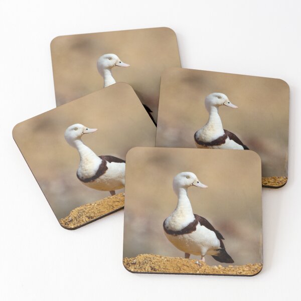 Item preview, Rajah Shellduck  designed and sold by Wanderingeagles.