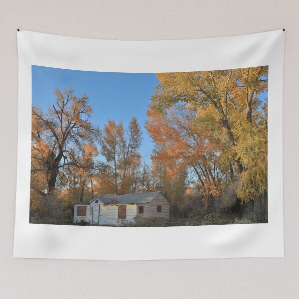 Item preview, House in Del Norte designed and sold by zumi.