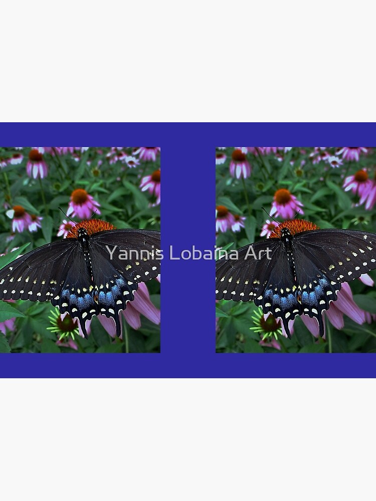 Black Swallowtail Butterfly before flying in search of sun By Yannis Lobaina by lobaina1979