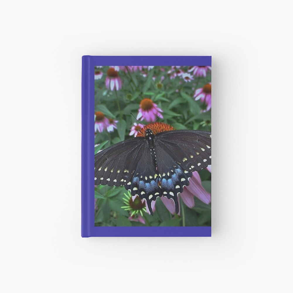Black Swallowtail Butterfly before flying in search of sun By Yannis Lobaina Hardcover Journal