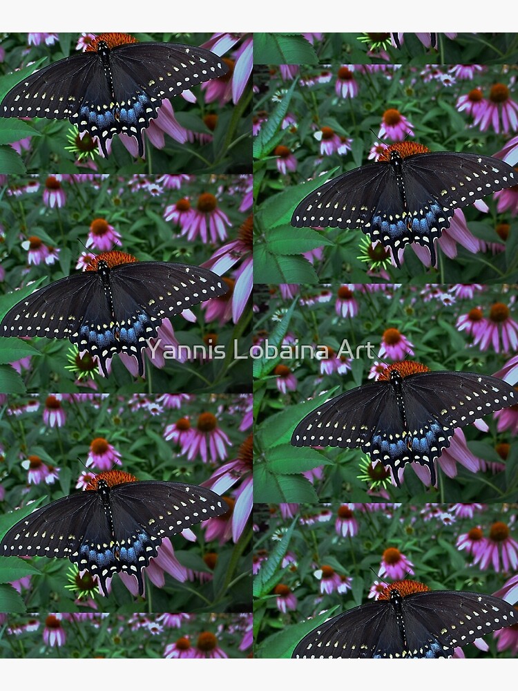 Black Swallowtail Butterfly before flying in search of sun By Yannis Lobaina by lobaina1979