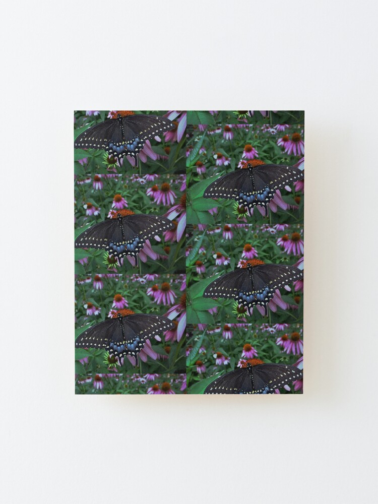 Alternate view of Black Swallowtail Butterfly before flying in search of sun By Yannis Lobaina Mounted Print