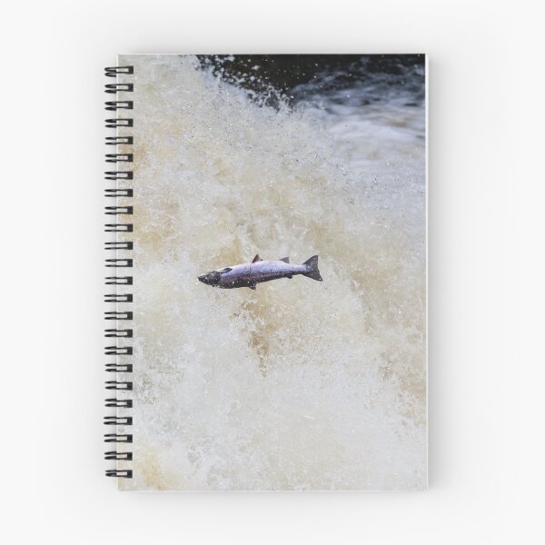 Item preview, Leaping salmon designed and sold by chanonry.
