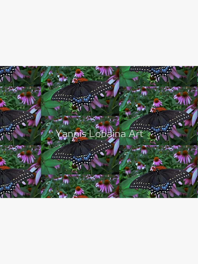 Black Swallowtail Butterfly before flying in search of sun By Yannis Lobaina by lobaina1979