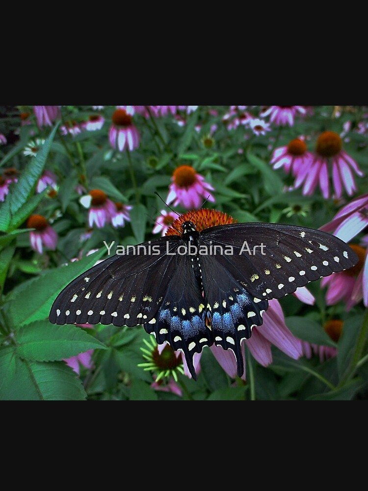 Black Swallowtail Butterfly before flying in search of sun By Yannis Lobaina by lobaina1979
