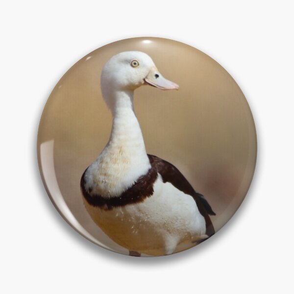 Item preview, Rajah Shellduck  designed and sold by Wanderingeagles.