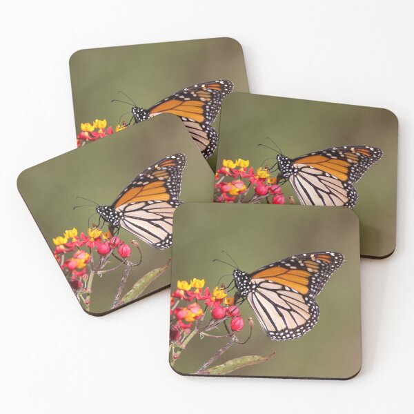 Item preview, Monarch Butterfly  designed and sold by Wanderingeagles.