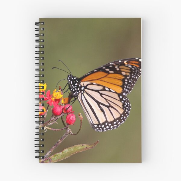Item preview, Monarch Butterfly  designed and sold by Wanderingeagles.