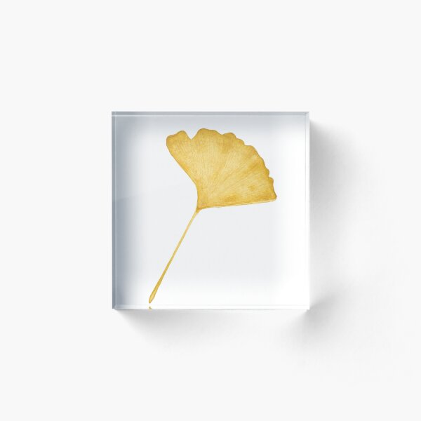 Yellow Gingko Leaf Acrylic Block