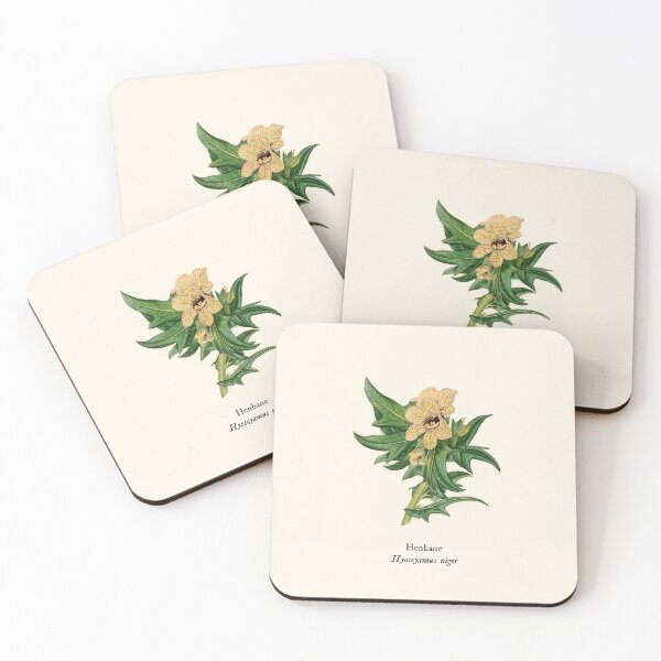 Item preview, Henbane - Vintage Hyoscyamus Niger, Antique Botanical Illustration, Solanaceae Poisonous, Witches Herbs designed and sold by Larkwort.