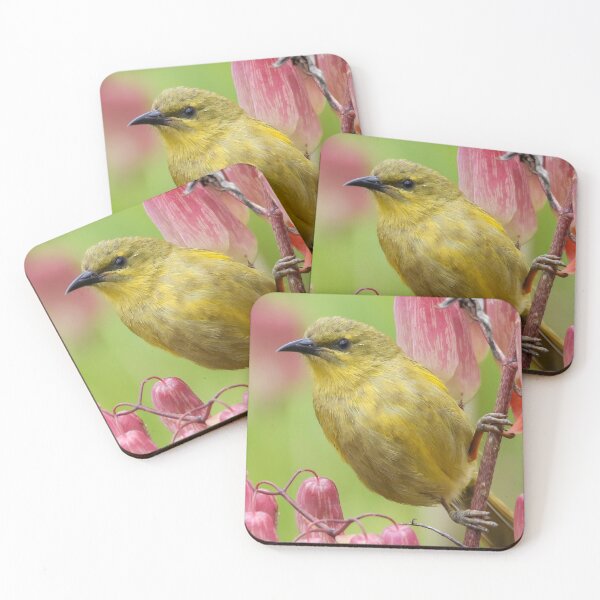 Item preview, Yellow Honeyeater  designed and sold by Wanderingeagles.