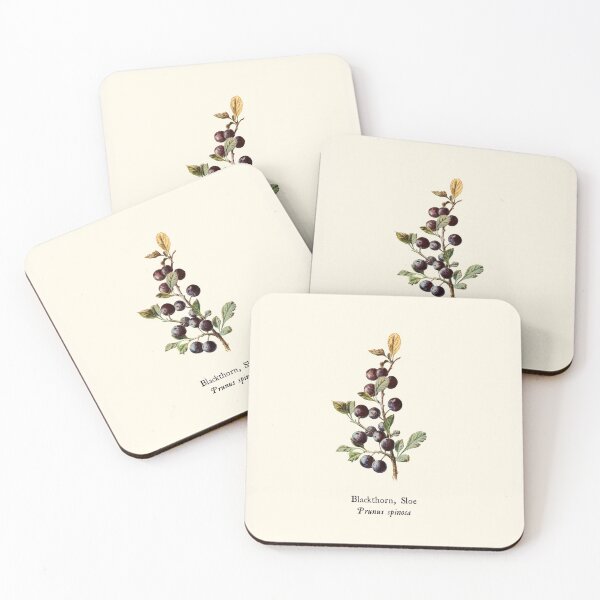 Item preview, Blackthorn - Vintage Sloe Illustration, Antique Botanical, Culinary Foraging, Witches Herbs designed and sold by Larkwort.