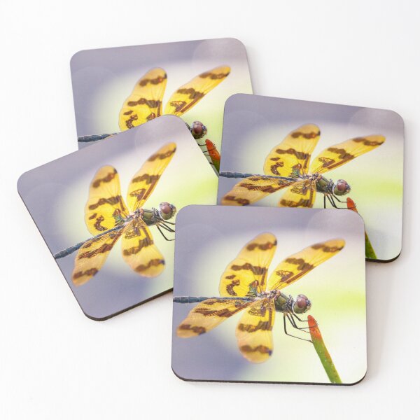 Item preview, Gráfico Flutterer Dragonfly designed and sold by Wanderingeagles.