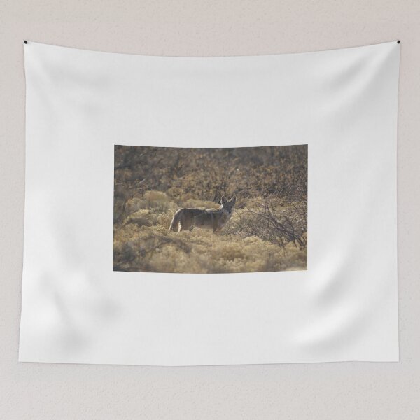 Item preview, Coyote; Cottonwood, AZ designed and sold by leih2008.
