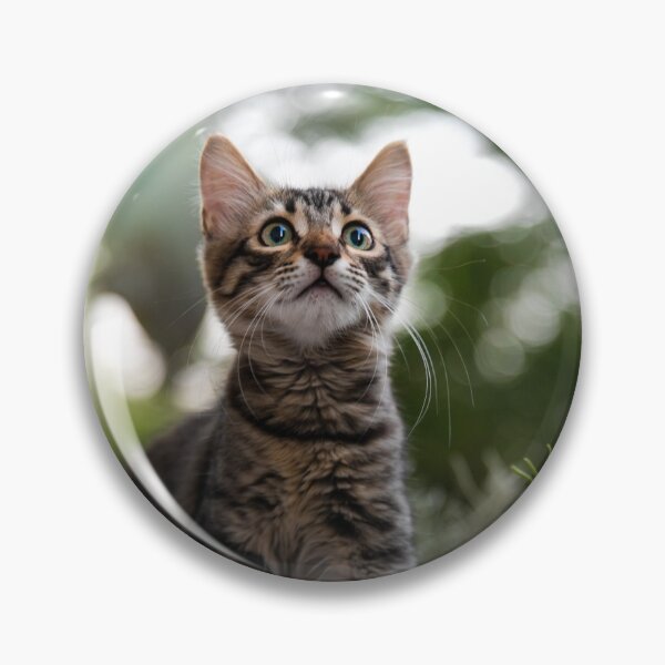 Item preview, Amgad the wonderer cat designed and sold by Moemadrizk.
