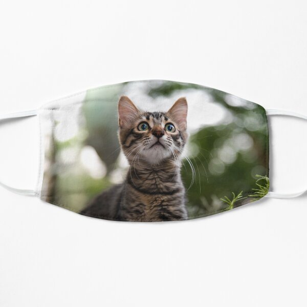 Amgad the wonderer cat Flat Mask