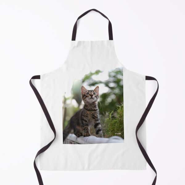 Item preview, Amgad the wonderer cat designed and sold by Moemadrizk.