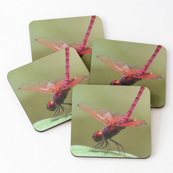 Item preview, Crimson Dropwing Dragonfly  designed and sold by Wanderingeagles.