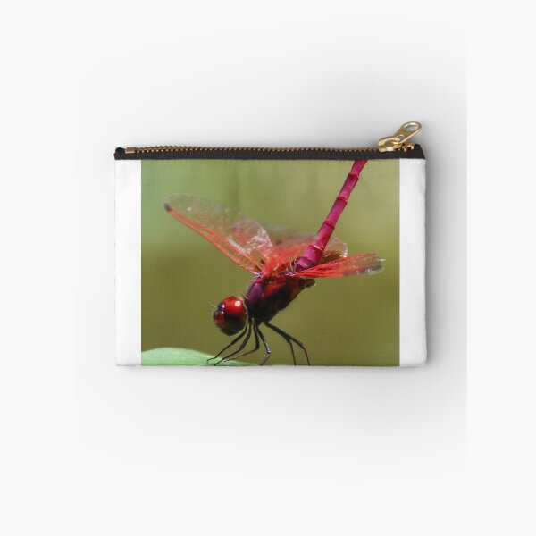 Item preview, Crimson Dropwing Dragonfly  designed and sold by Wanderingeagles.
