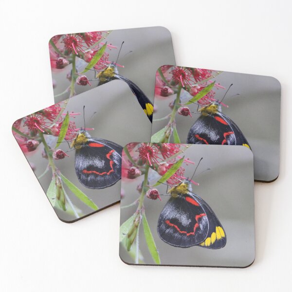 Item preview, Common Jezebel designed and sold by Wanderingeagles.