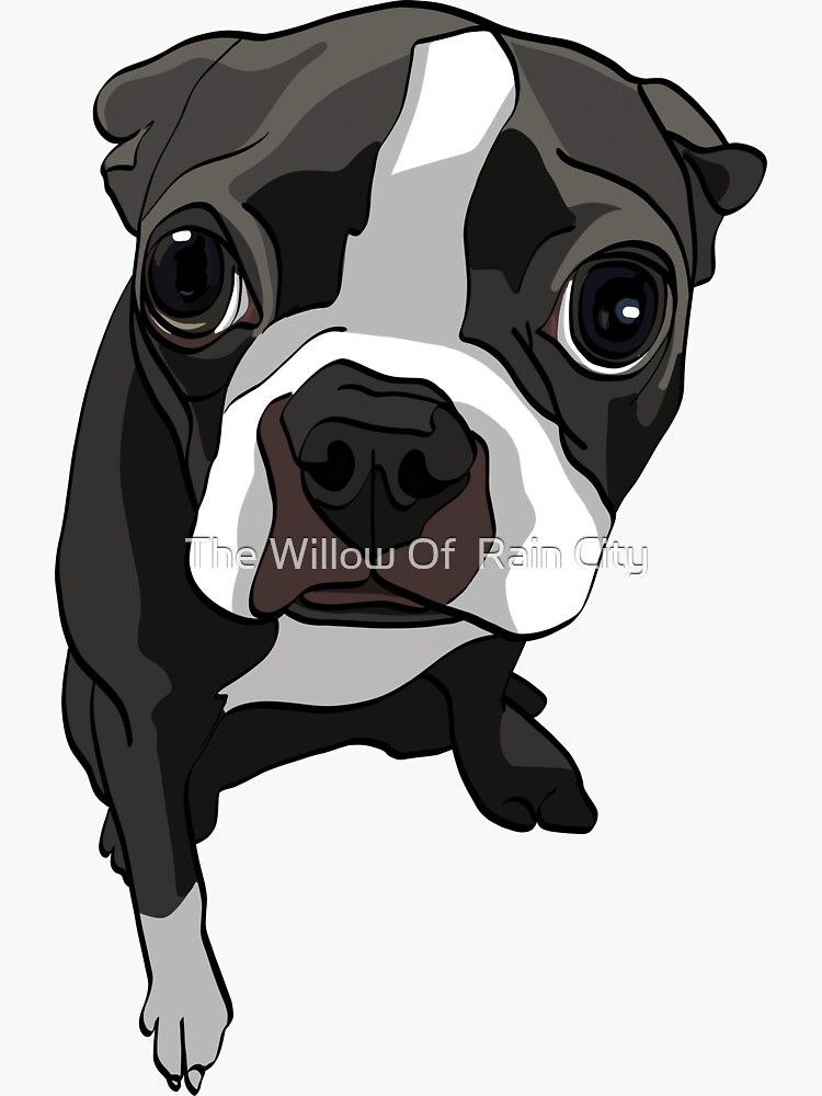 Discover Boston Terrier expressions Sticker