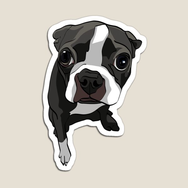 Item preview, Boston Terrier Ausdrücke designed and sold by The Willow Of  Rain City.
