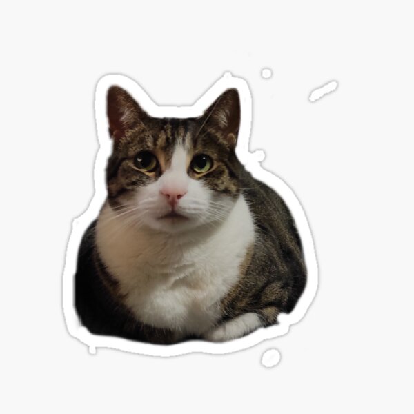 Sister Eevee Sticker