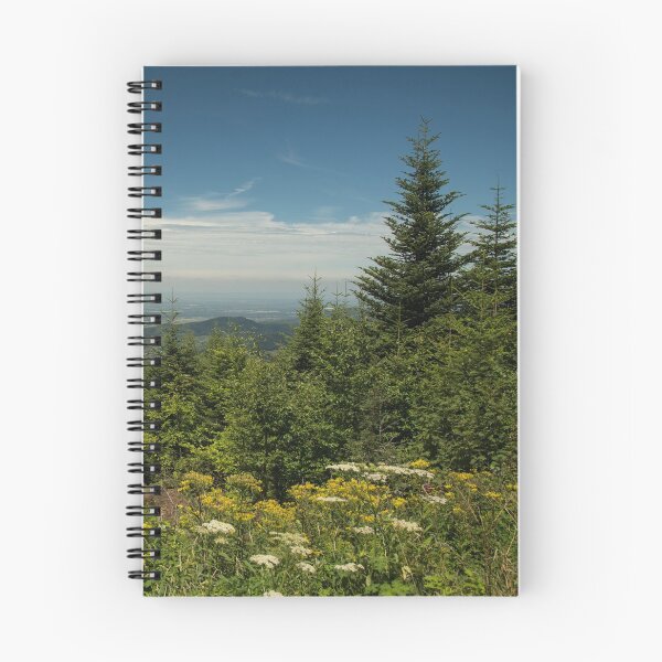 Item preview, Black Forest landscape designed and sold by TinyCameraNinja.