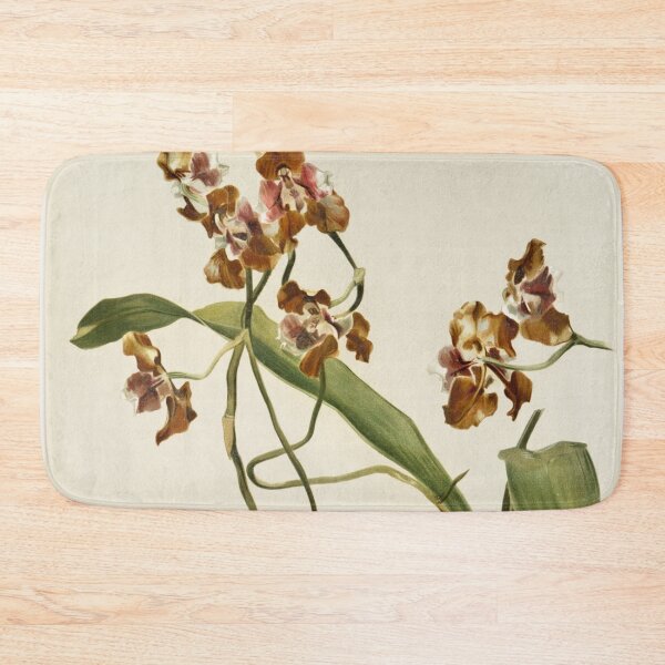 Item preview, Reichenbachia: Orchids Illustrated and Described designed and sold by EsotericBotanic.