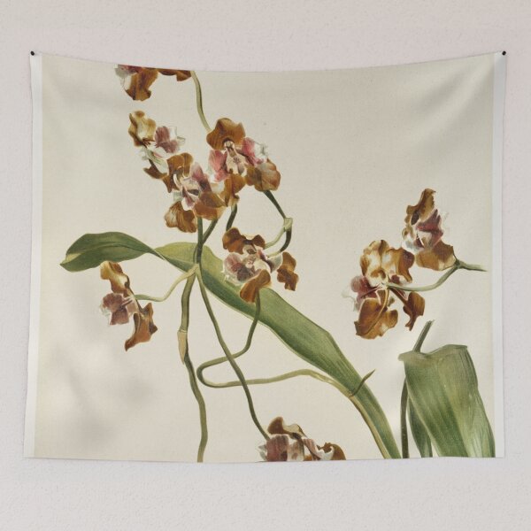 Item preview, Reichenbachia: Orchids Illustrated and Described designed and sold by EsotericBotanic.