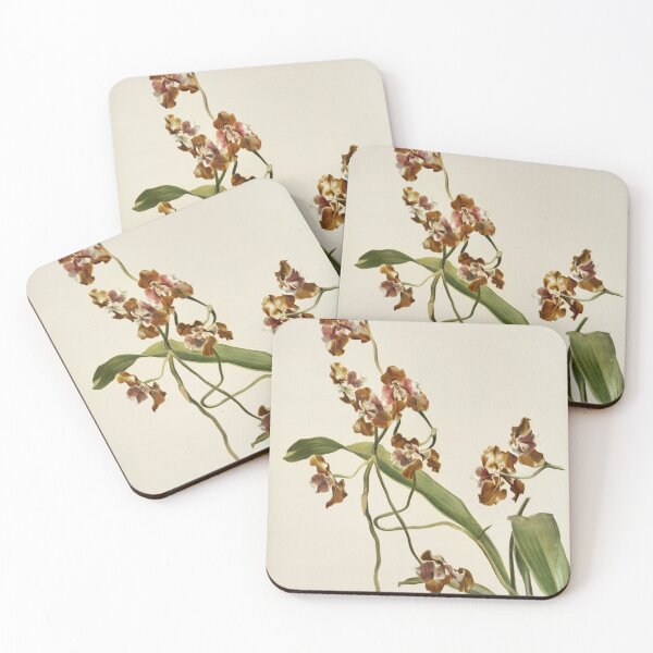 Item preview, Reichenbachia: Orchids Illustrated and Described designed and sold by EsotericBotanic.