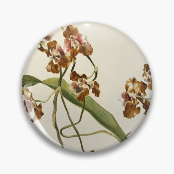 Item preview, Reichenbachia: Orchids Illustrated and Described designed and sold by EsotericBotanic.