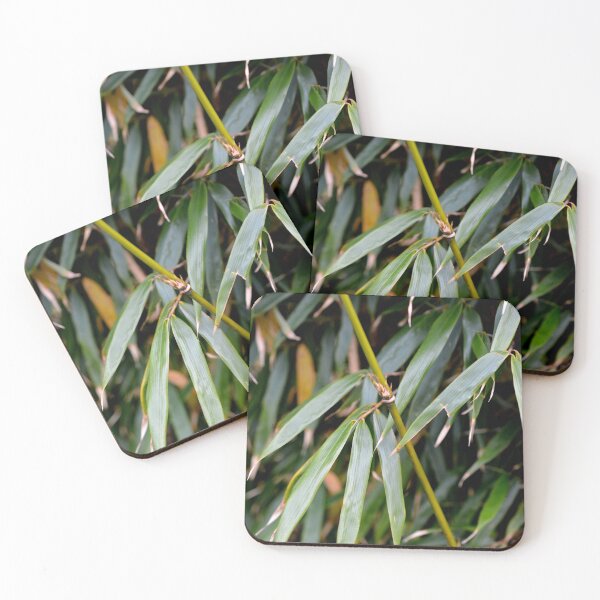 Item preview, Bamboo designed and sold by BattleMountain.