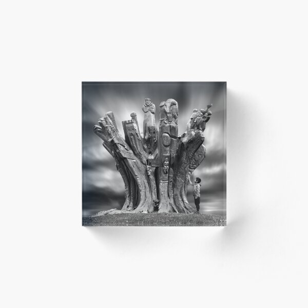 Roots Acrylic Block