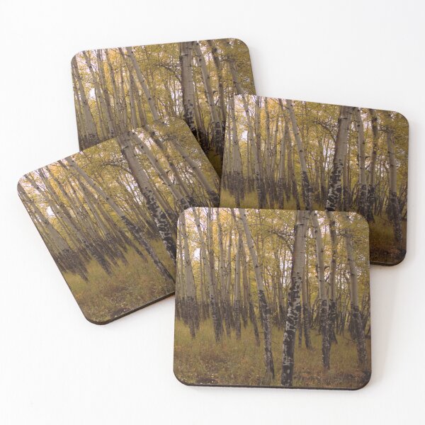 Item preview, Aspen Grove designed and sold by HootenannyPhoto.