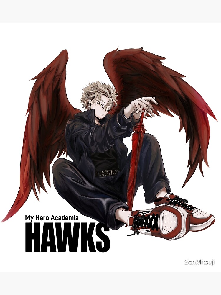 mha hawks age