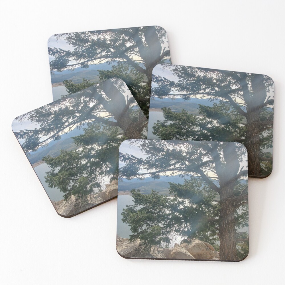 Item preview, Coasters (Set of 4) designed and sold by Racsontos.