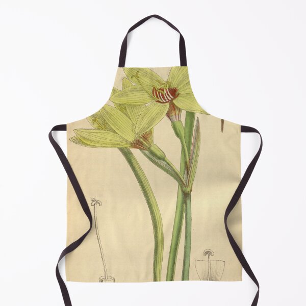 Item preview, Hippeastrum elwesii 141 8614 designed and sold by EsotericBotanic.