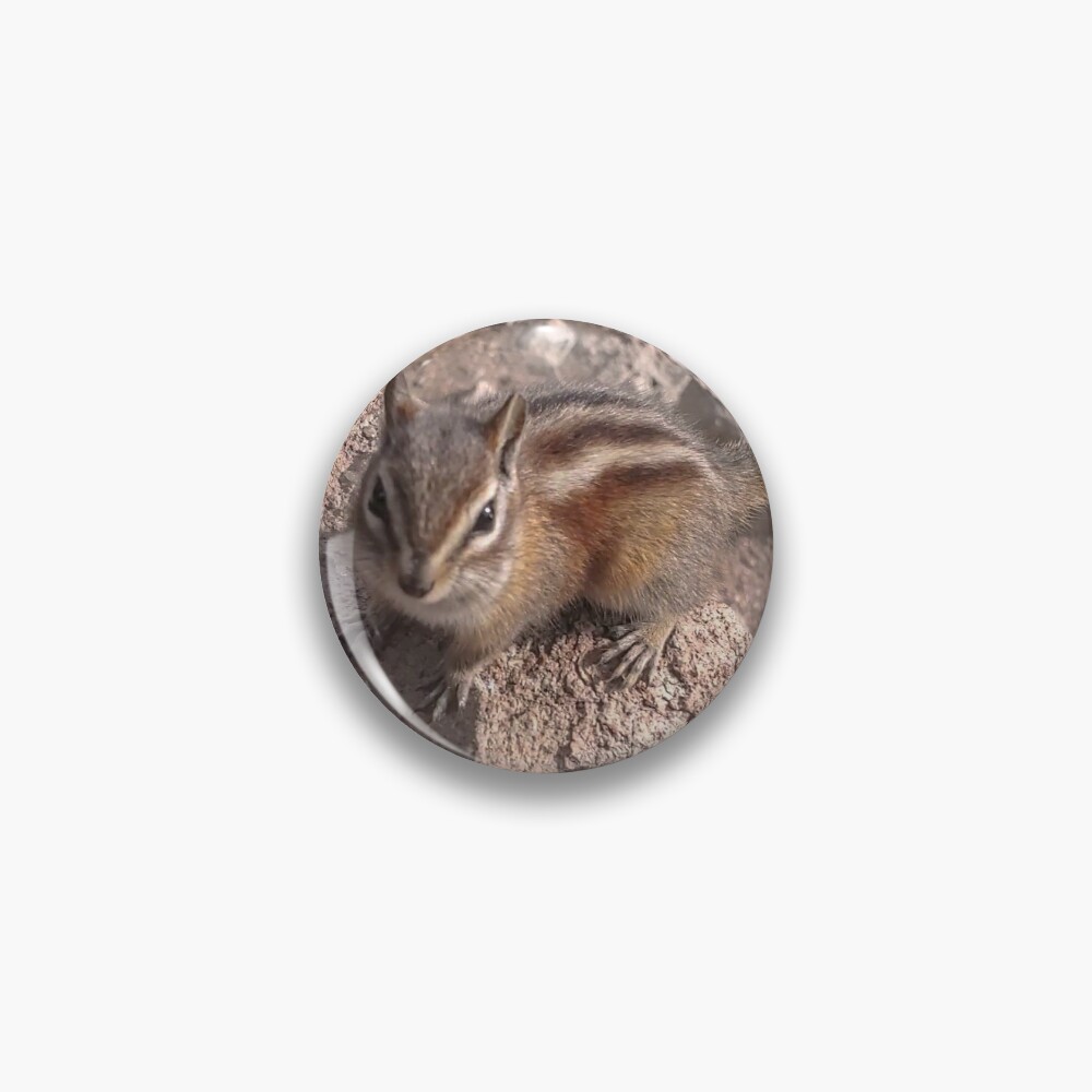 Item preview, Pin designed and sold by Racsontos.