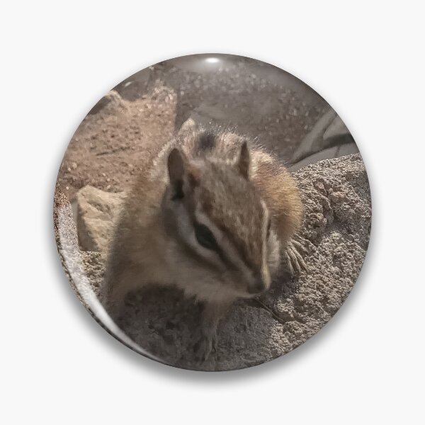 Item preview, Chipmunk designed and sold by Rachel Csontos.